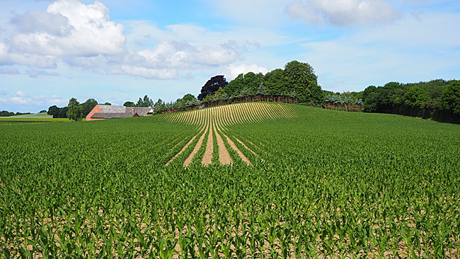 landwirtschaft langeland 01a