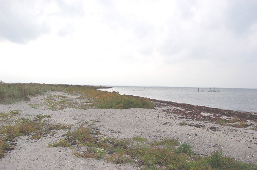 hou_nordstrand_01