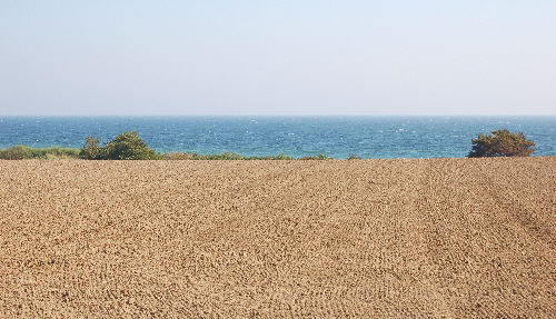 landschaft_langeland_01