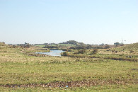 langeland_02a