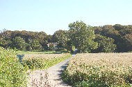 langeland_03a