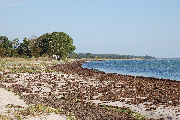 langeland_31a
