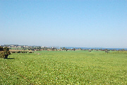 langeland_36a