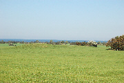 langeland_37a