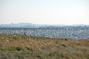 langeland_45a