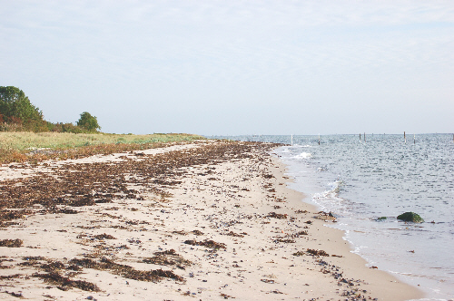 strand_01