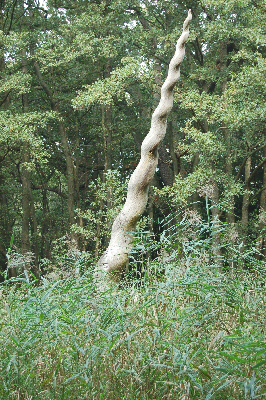 tickon_05